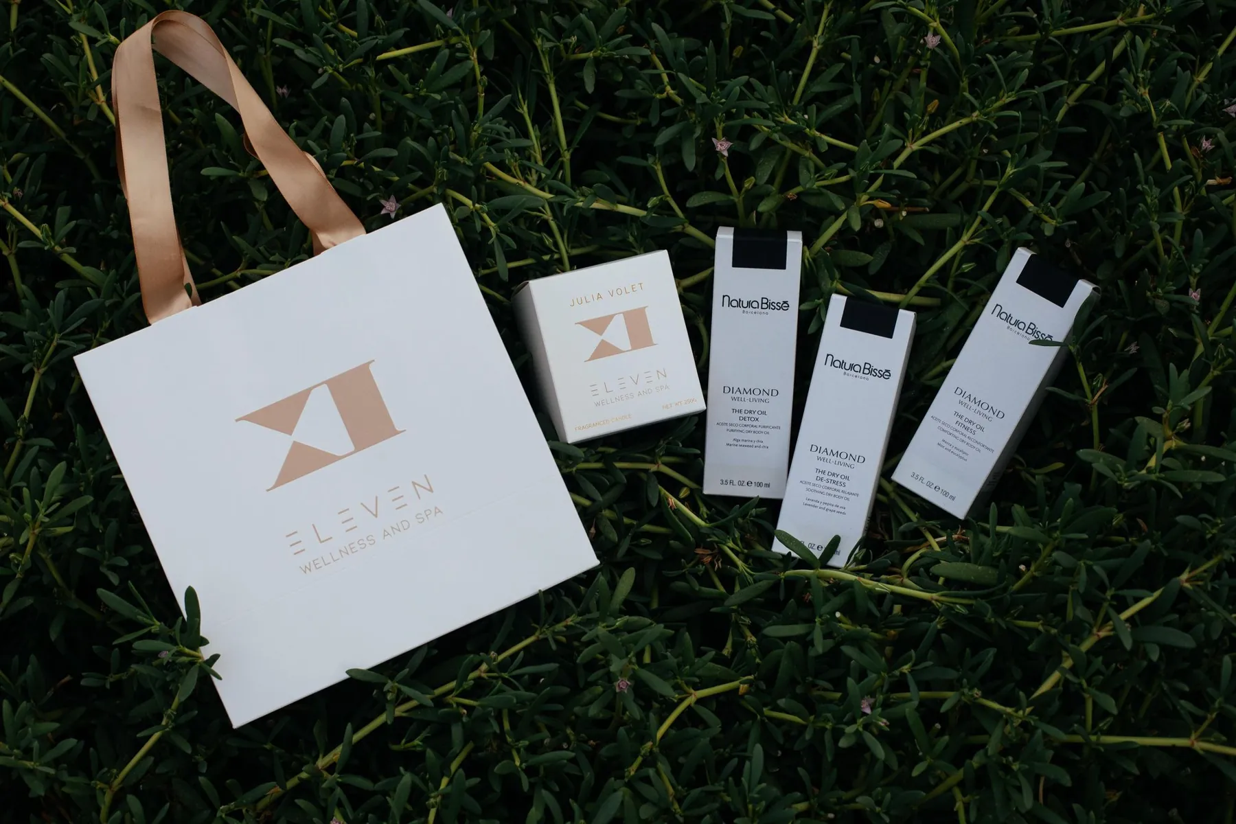 Branding & Presentations