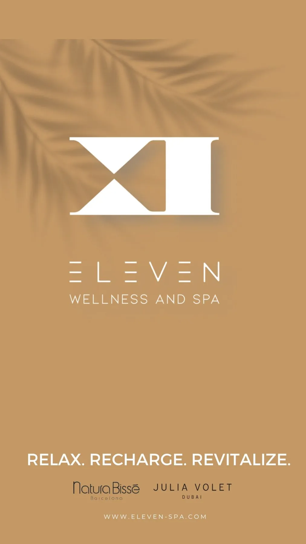 Branding & Presentations